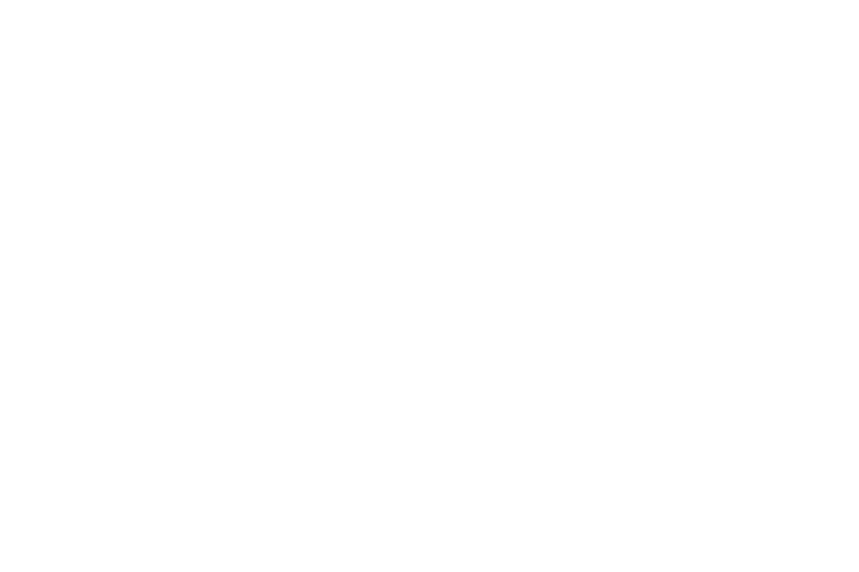 ni-logo